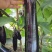广东湛江烧烤茄