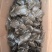 纯红薯淀粉制作红薯粉皮品质保障口感好对接零售