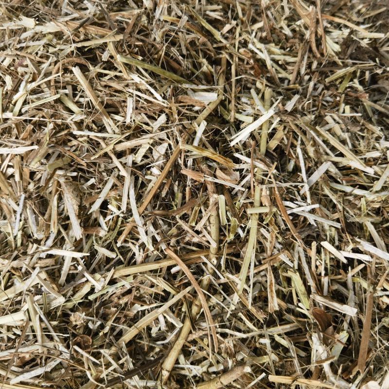 花生秧无土无膜花生秧工厂直发（）
