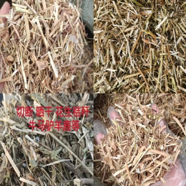 花生秧无土无膜花生秧工厂直发（）