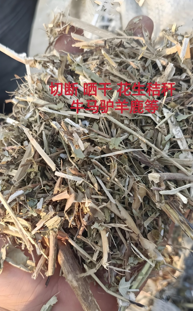 花生秧无土无膜花生秧工厂直发（）