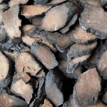 肉苁蓉软大云管花肉苁蓉正品新疆硬大云一手货源价格实惠