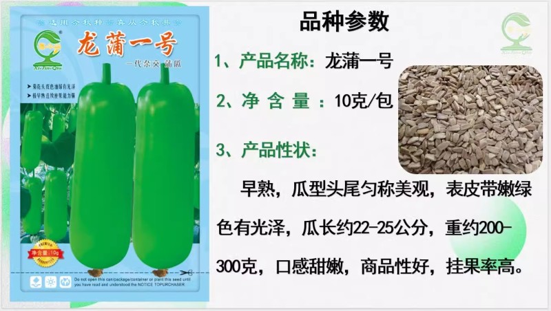 【龙蒲一号】早熟瓜型匀称皮嫩绿有光泽口感甜嫩丰产