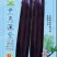 【黑马深紫茄】新育长茄中熟耐寒耐热性好品质优秀