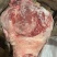 带骨后腿肉，4号肉，2号肉，猪头，都有货