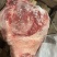 带骨后腿肉，4号肉，2号肉，猪头，都有货