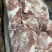带骨后腿肉，4号肉，2号肉，猪头，都有货