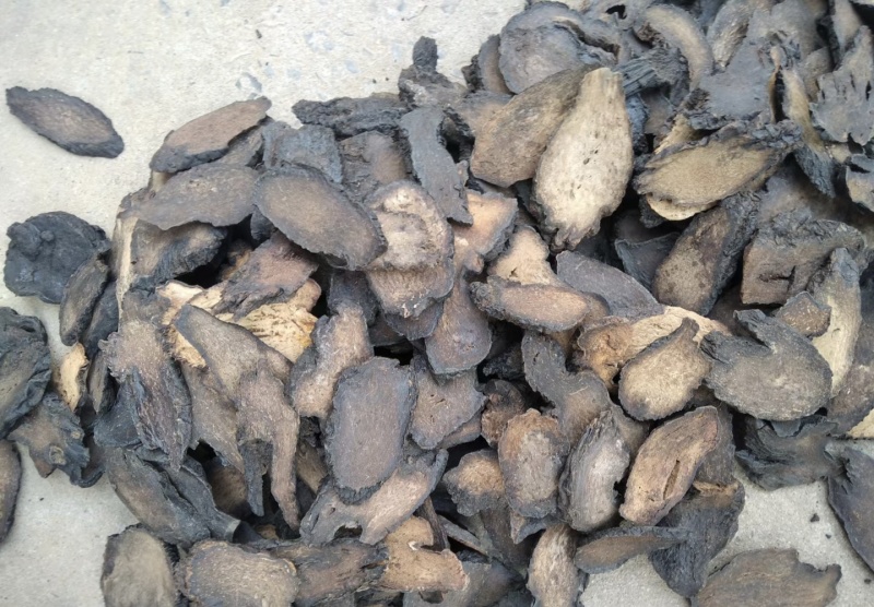 肉苁蓉软大云管花肉苁蓉正品新疆硬大云一手货源价格实惠