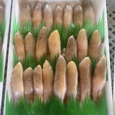 「辽宁丹东东港」小板鲜海蛏子头刀把蛏子主要适用自助餐饭店