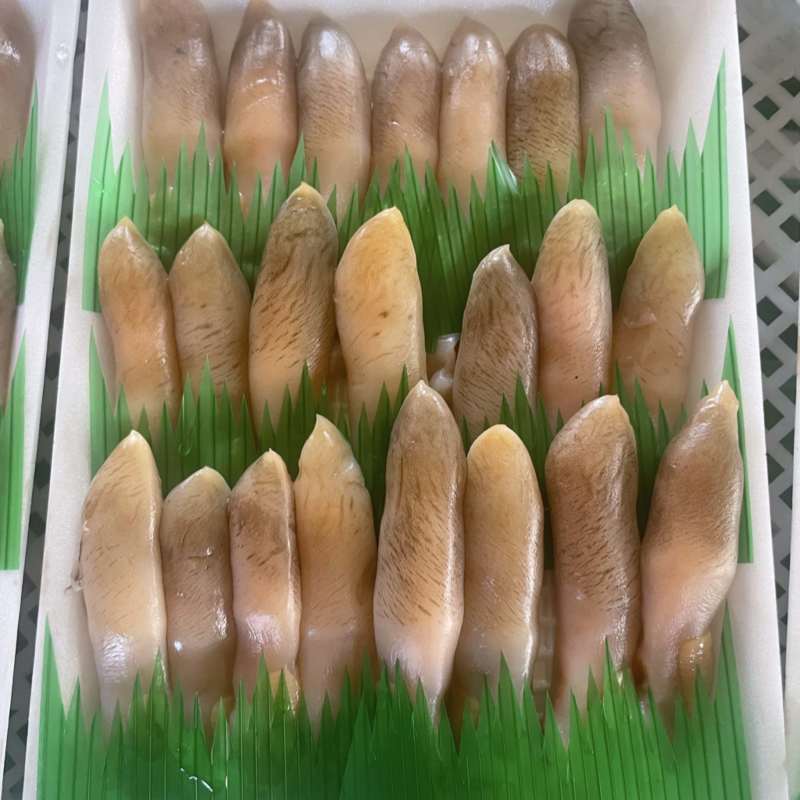 「辽宁丹东东港」小板鲜海蛏子头刀把蛏子主要适用自助餐饭店