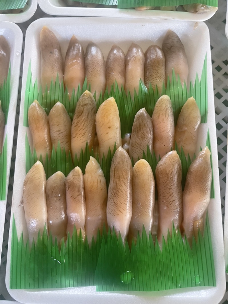 「辽宁丹东东港」小板鲜海蛏子头刀把蛏子主要适用自助餐饭店