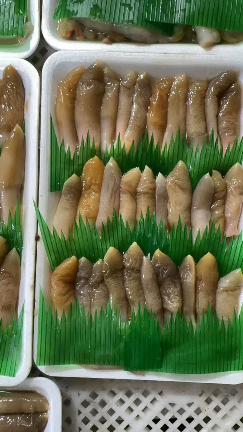 「辽宁丹东东港」小板鲜海蛏子头刀把蛏子主要适用自助餐饭店