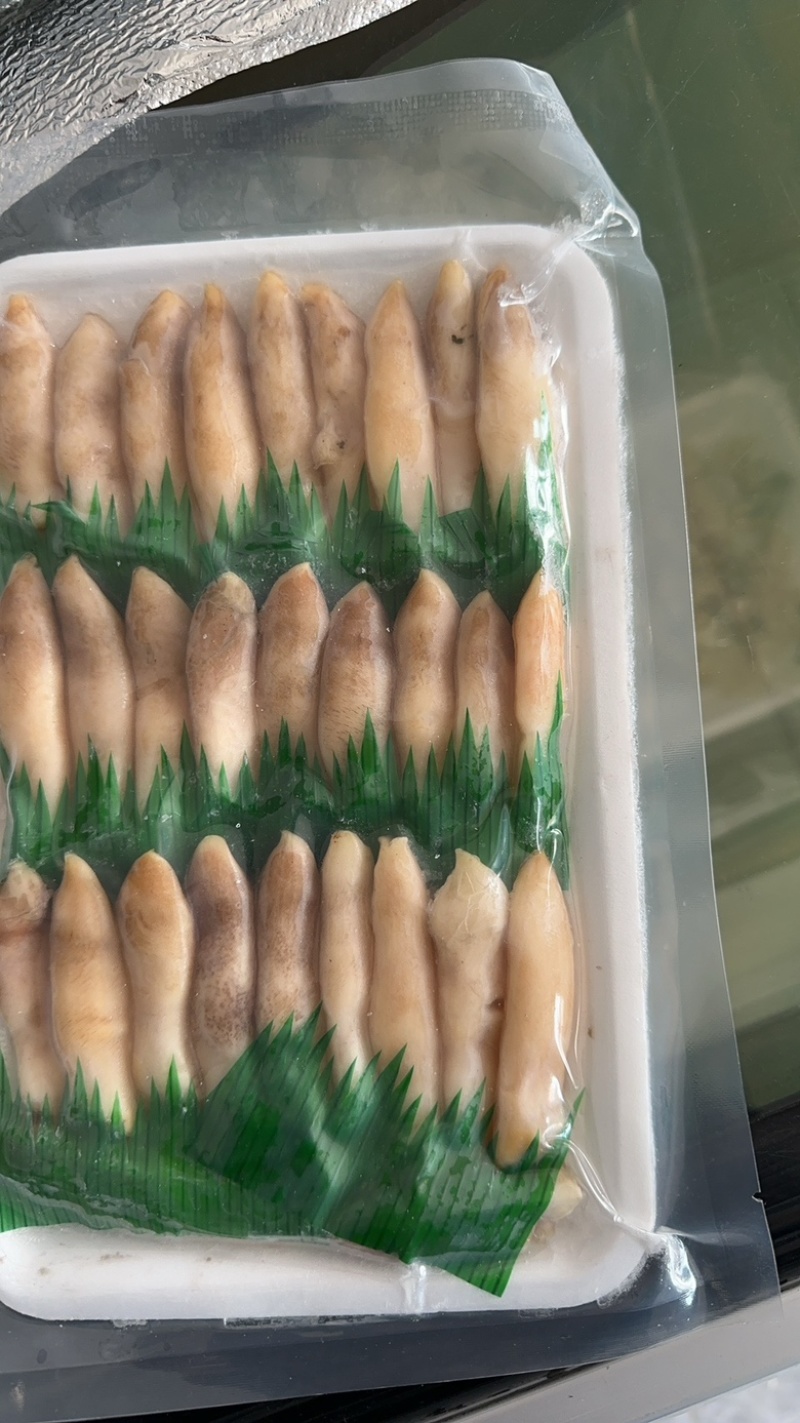「辽宁丹东东港」小板鲜海蛏子头刀把蛏子主要适用自助餐饭店