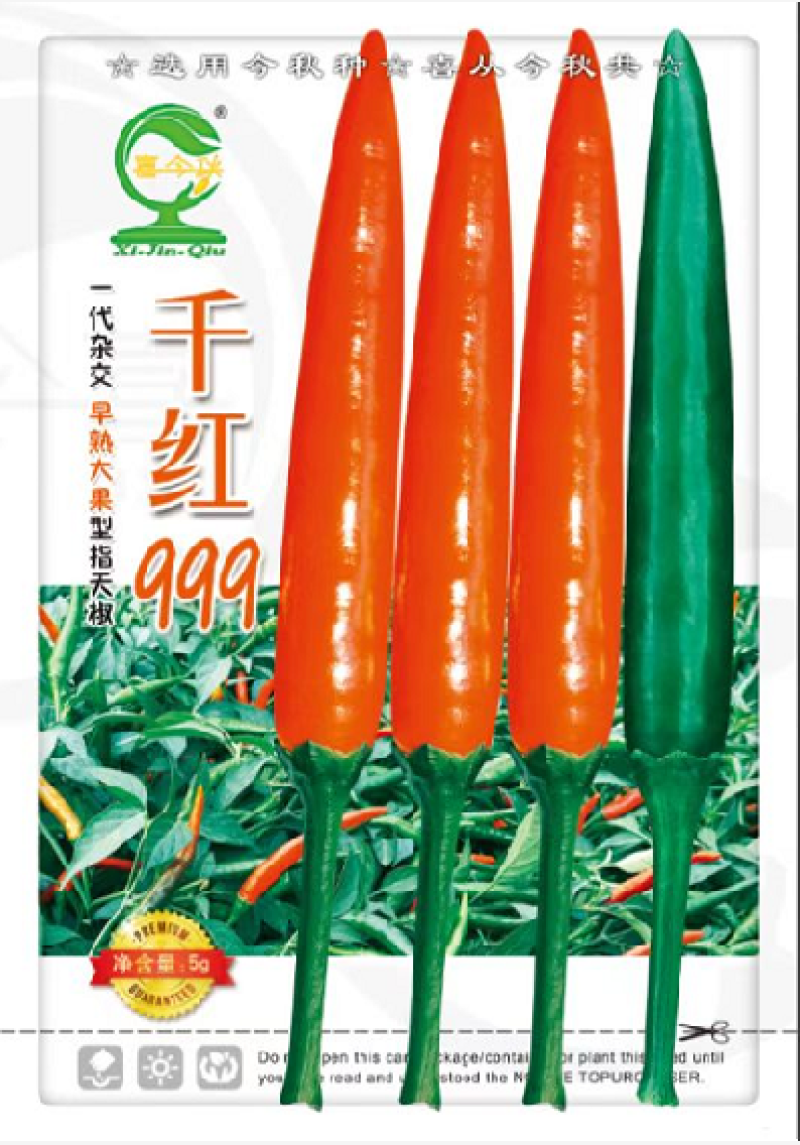 【千红999指天椒】早熟大果型杂交一代耐寒青红两用