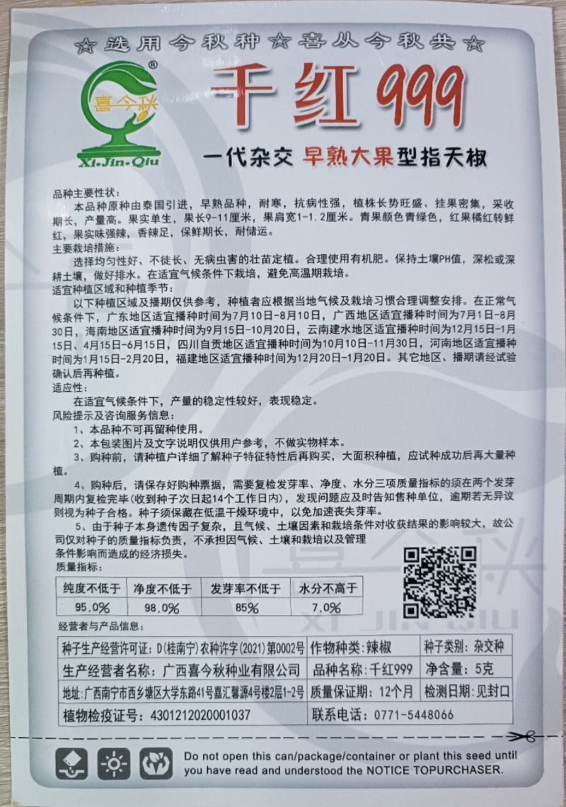 【千红999指天椒】早熟大果型杂交一代耐寒青红两用