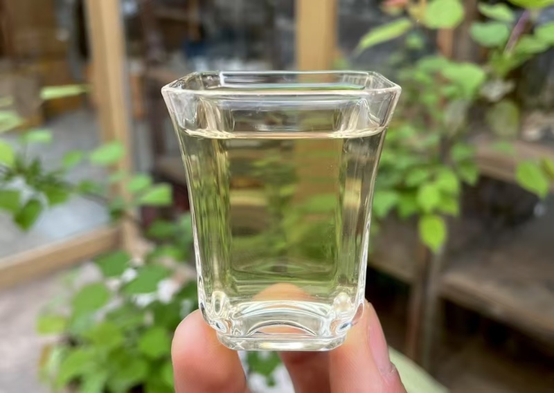 2025年明前早春生态古树茶，生态有机茶，