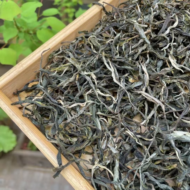 2025年明前早春生态古树茶，生态有机茶，