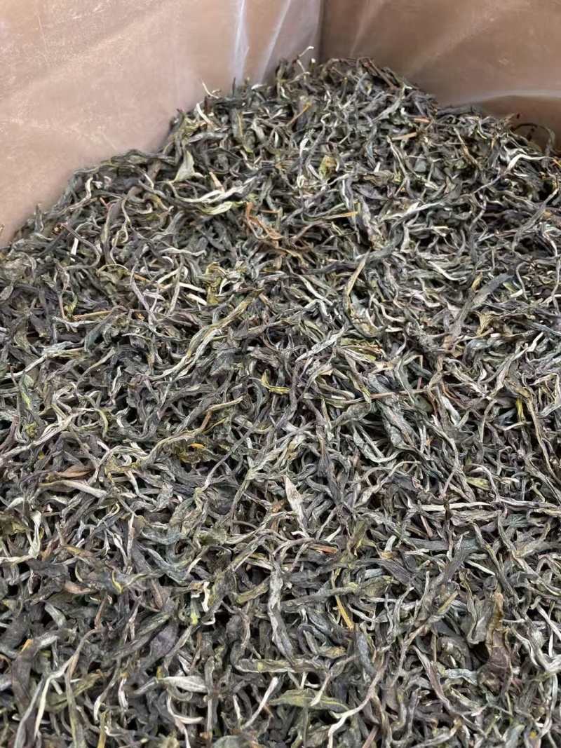 2025年明前早春生态古树茶，生态有机茶，
