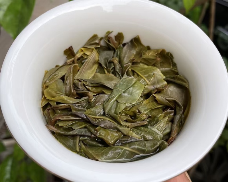 2025年明前早春生态古树茶，生态有机茶，