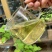 2025年明前早春生态古树茶，生态有机茶，