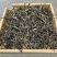 2025年明前早春生态古树茶，生态有机茶，