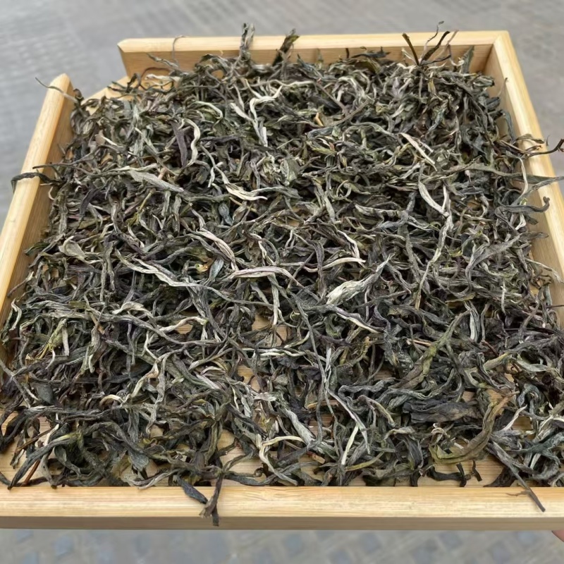 2025年明前早春生态古树茶，生态有机茶，