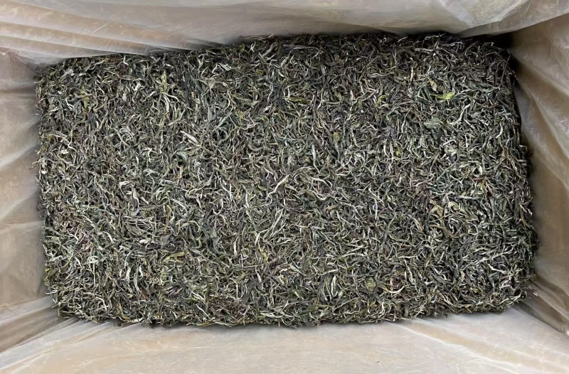 2025年明前早春生态古树茶，生态有机茶，