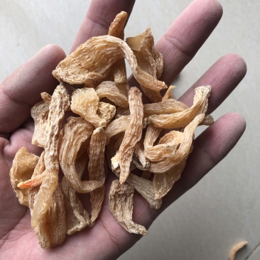 小天麻，天麻籽产地直销罗田天麻无硫天麻批发规格齐全