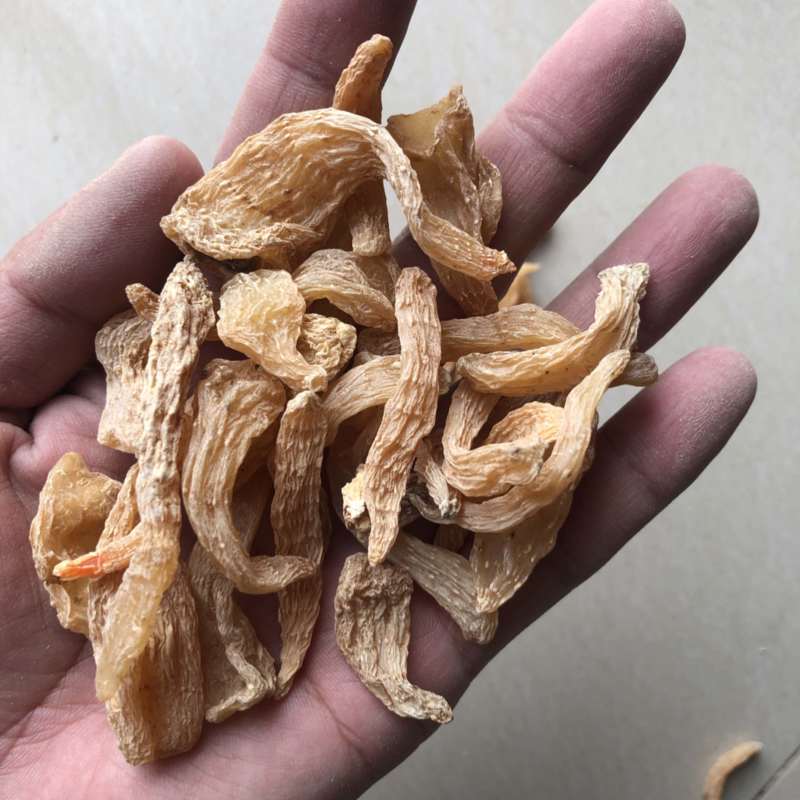 小天麻，天麻籽产地直销罗田天麻无硫天麻批发规格齐全