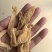小天麻，天麻籽产地直销罗田天麻无硫天麻批发规格齐全
