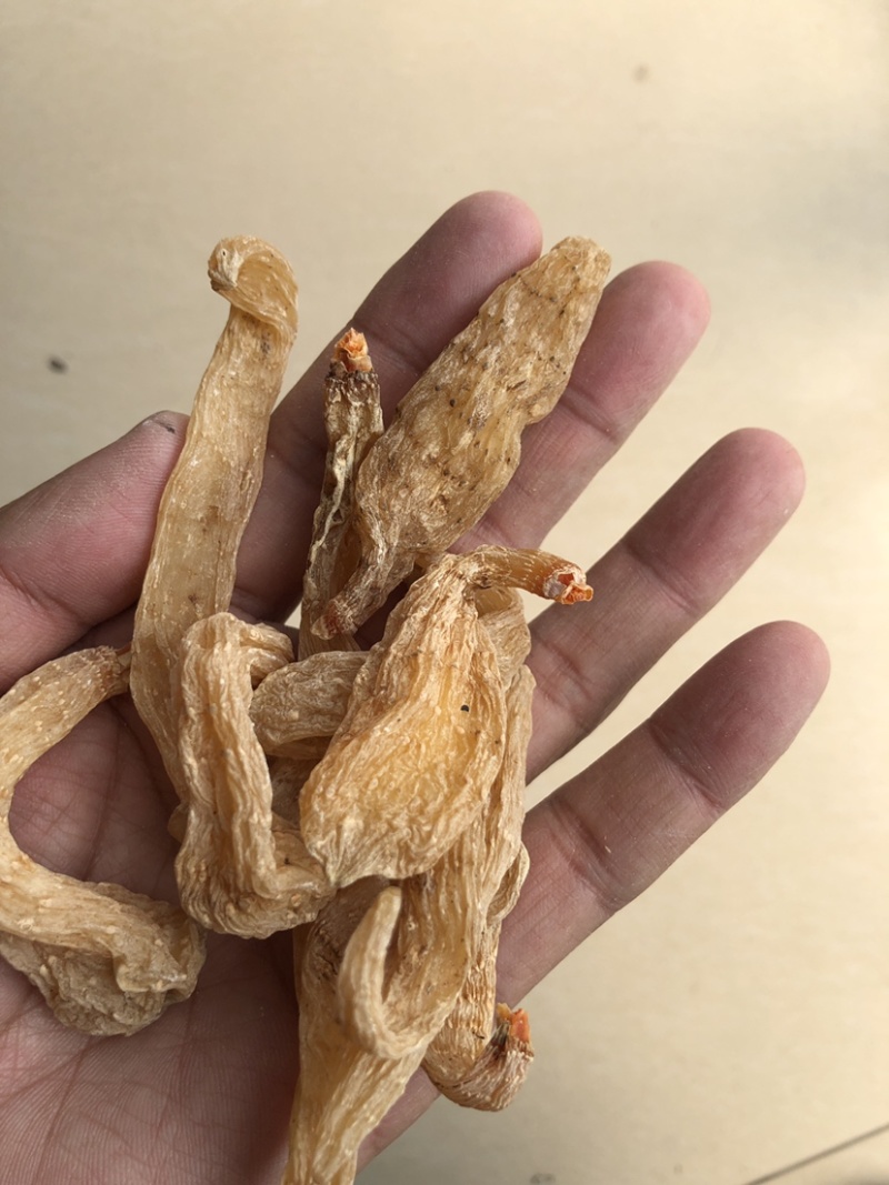 小天麻，天麻籽产地直销罗田天麻无硫天麻批发规格齐全