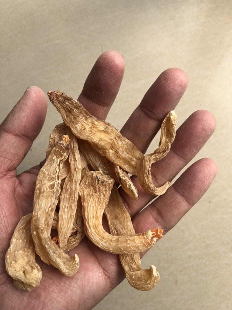 小天麻，天麻籽产地直销罗田天麻无硫天麻批发规格齐全