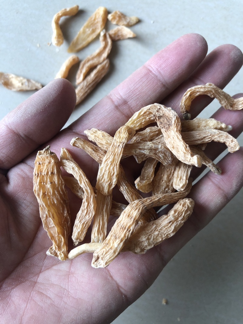 小天麻，天麻籽产地直销罗田天麻无硫天麻批发规格齐全