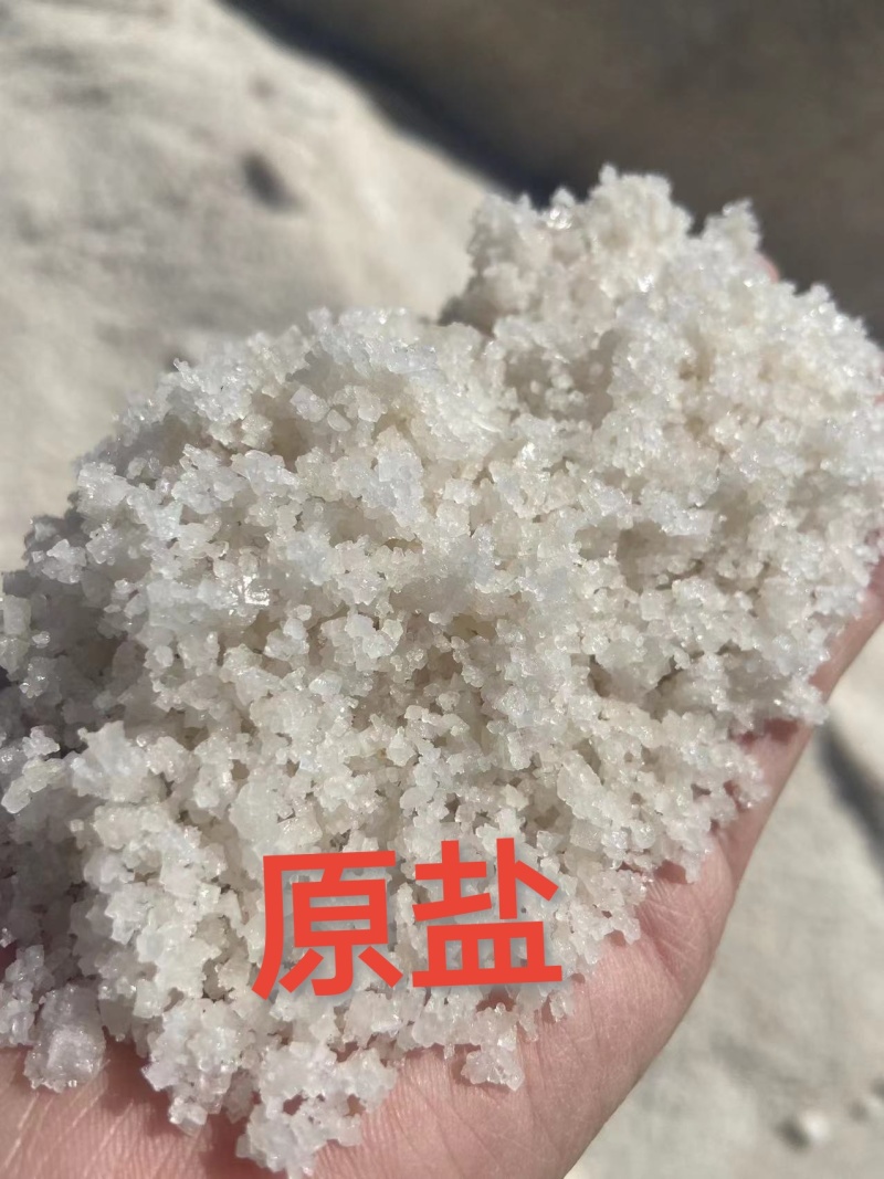 饲料盐厂家直发量大从优品质保证诚信来电咨询合作