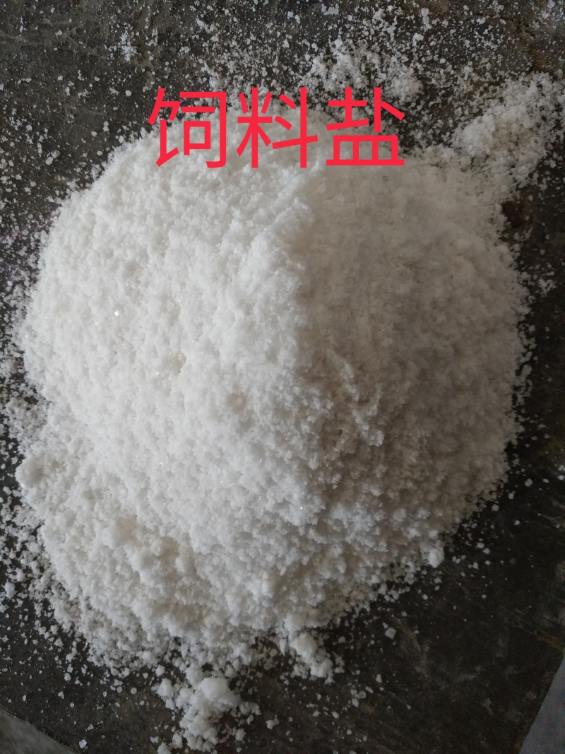 饲料盐厂家直发量大从优品质保证诚信来电咨询合作