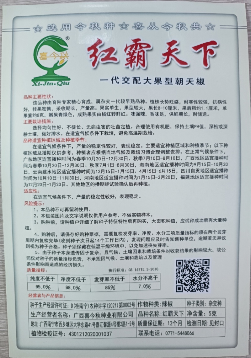 【红霸天下】朝天椒早熟耐寒杂交一代产量佳耐储运