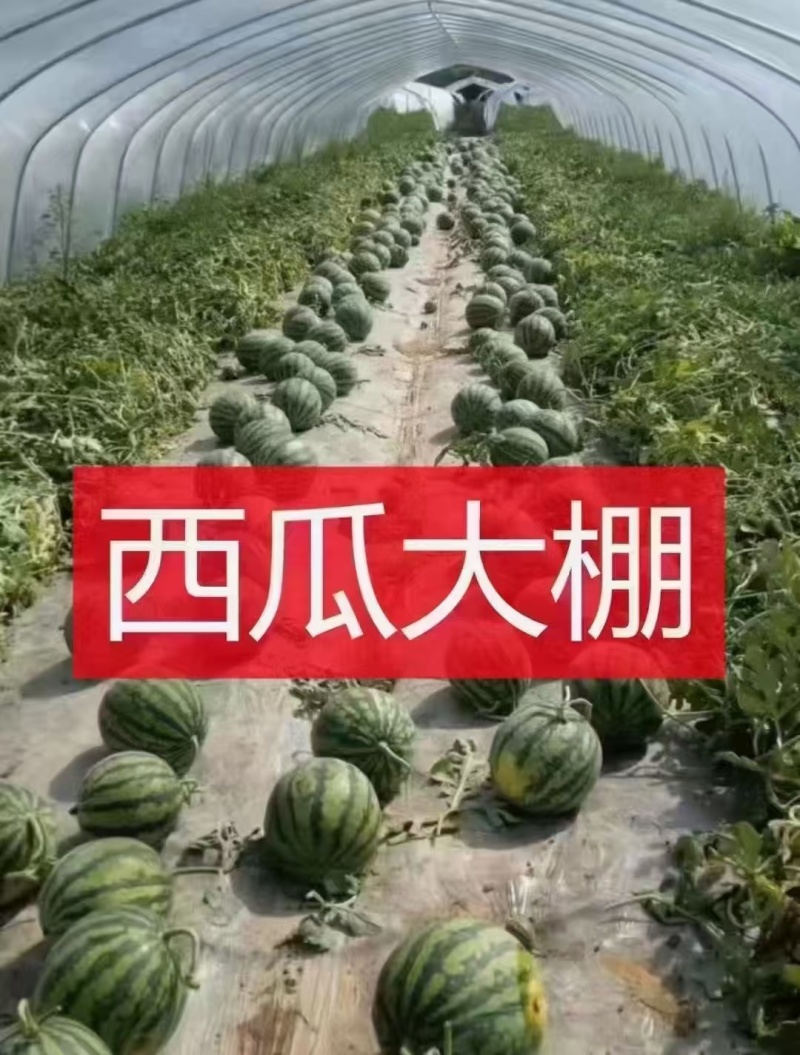 冷暖棚骨架，配件实体工厂厂家，欢迎老板随时验厂验资，