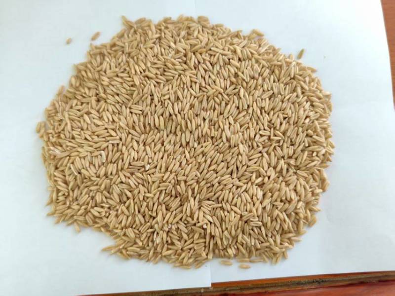 燕麦米，质优价廉，欢迎洽谈