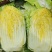 山东黄心大白菜质量有保证