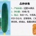 【迎夏318水果吊瓜】杂交一代中早熟耐热皮翠绿色