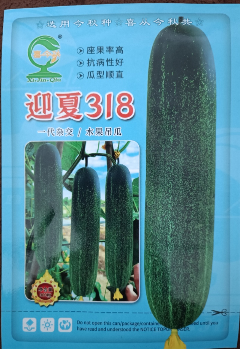 【迎夏318水果吊瓜】杂交一代中早熟耐热皮翠绿色