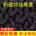 新疆黑桑葚干头茬免洗桑椹干泡茶泡酒无沙桑葚干***新货