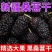 新疆黑桑葚干头茬免洗桑椹干泡茶泡酒无沙桑葚干***新货