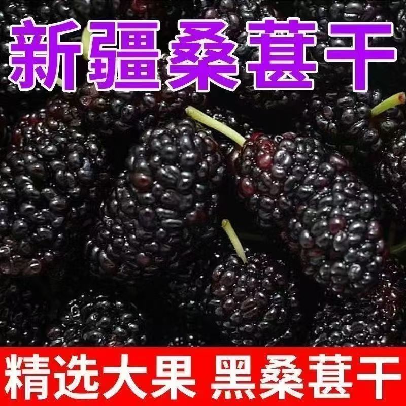 新疆黑桑葚干头茬免洗桑椹干泡茶泡酒无沙桑葚干***新货