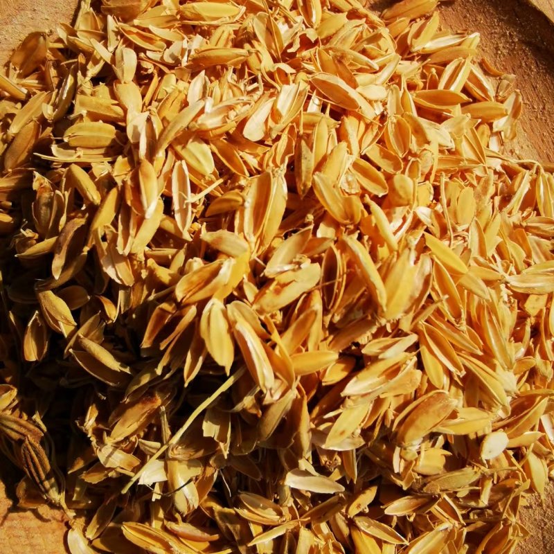 稻壳做醋做酒鸡棚鸭场垫料改变土壤疏松作用