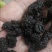 新疆黑桑葚干头茬免洗桑椹干泡茶泡酒无沙桑葚干***新货