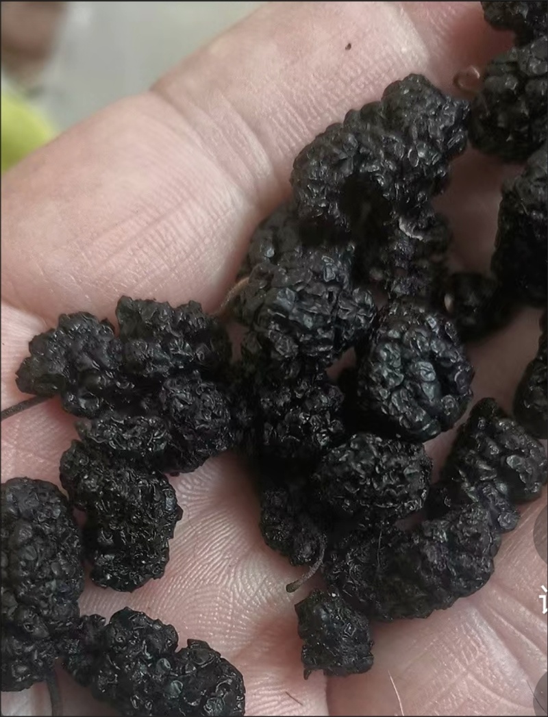 新疆黑桑葚干头茬免洗桑椹干泡茶泡酒无沙桑葚干***新货