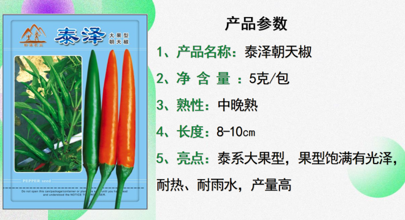 泰泽朝天椒大果型耐高温香辣劲强耐储运
