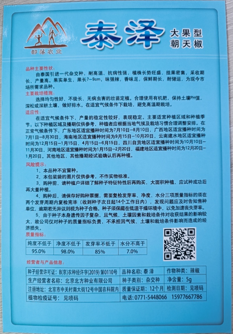 泰泽朝天椒大果型耐高温香辣劲强耐储运