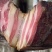 腊肉精品腊肉